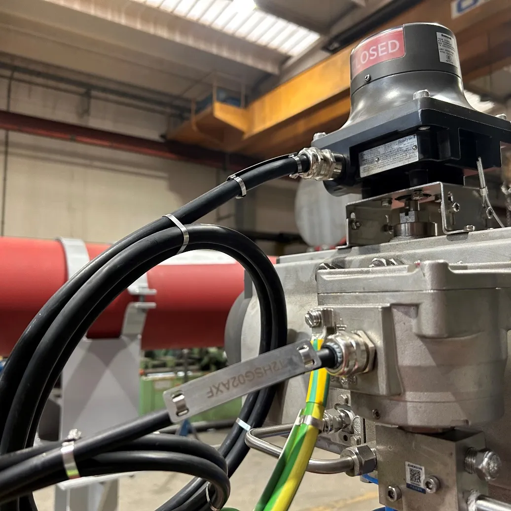 Industrial valve and actuator assembly